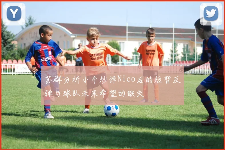 苏群分析小牛炒掉Nico后的短暂反弹与球队未来希望的缺失