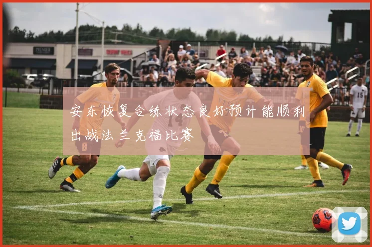 安东恢复合练状态良好预计能顺利出战法兰克福比赛