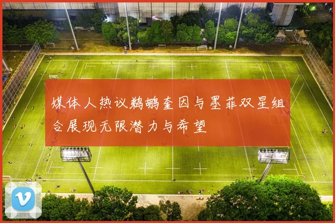 媒体人热议鹈鹕奎因与墨菲双星组合展现无限潜力与希望