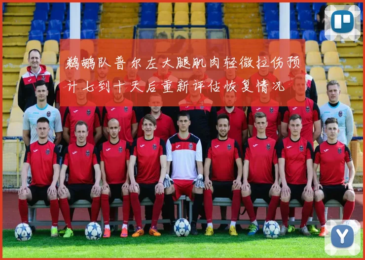鹈鹕队普尔左大腿肌肉轻微拉伤预计七到十天后重新评估恢复情况