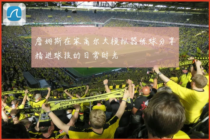 詹姆斯在家高尔夫模拟器练球分享精进球技的日常时光