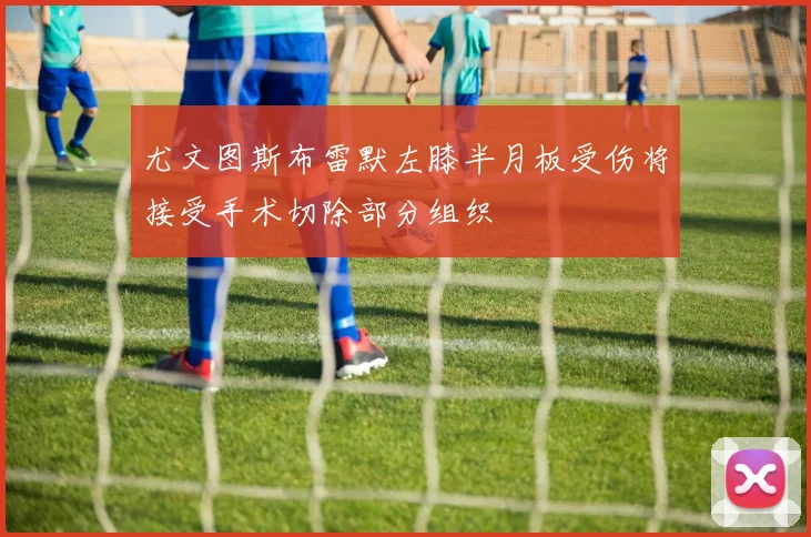 尤文图斯布雷默左膝半月板受伤将接受手术切除部分组织
